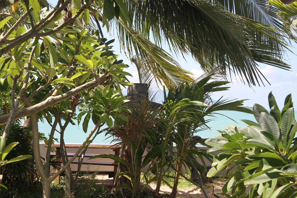 The Boardroom Beach Bungalows 波普托 客房 照片