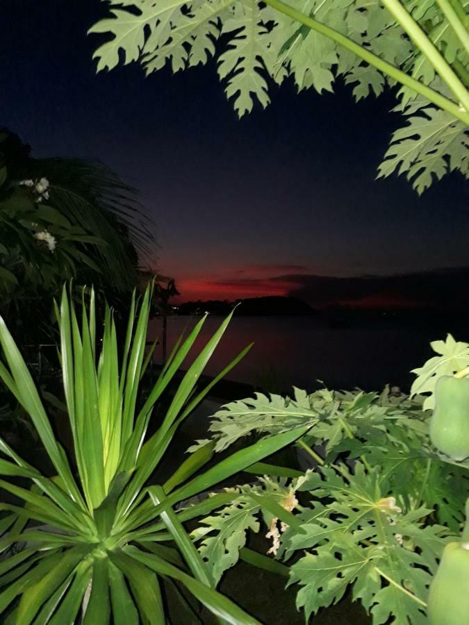 The Boardroom Beach Bungalows 波普托 外观 照片